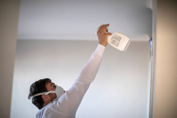 Best Commercial Mold Removal  in Westmont, NJ