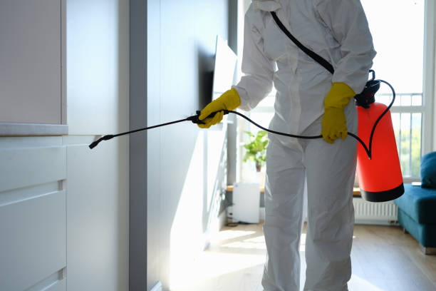 Best Crawl Space Mold Removal  in Westmont, NJ